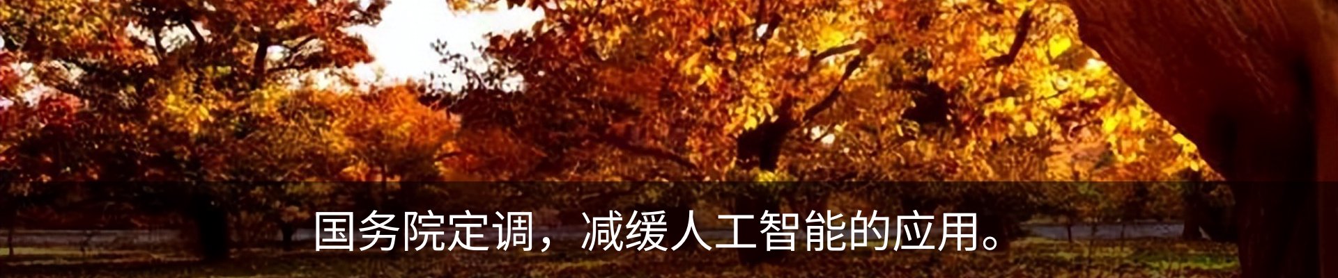 内页banner