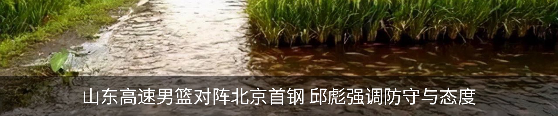 内页banner