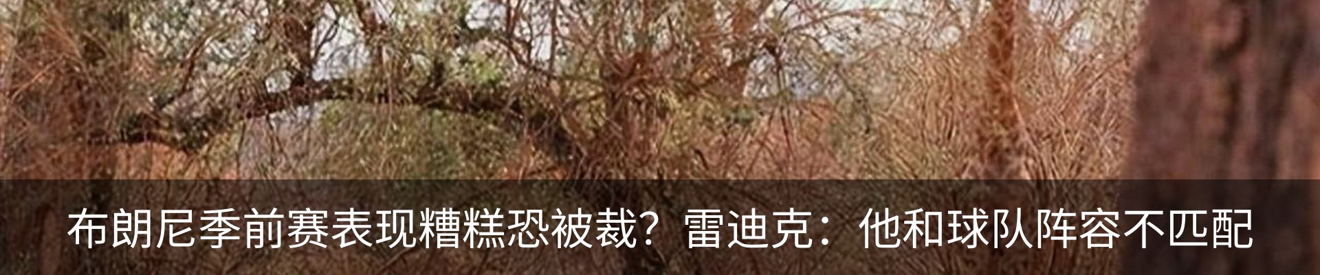内页banner