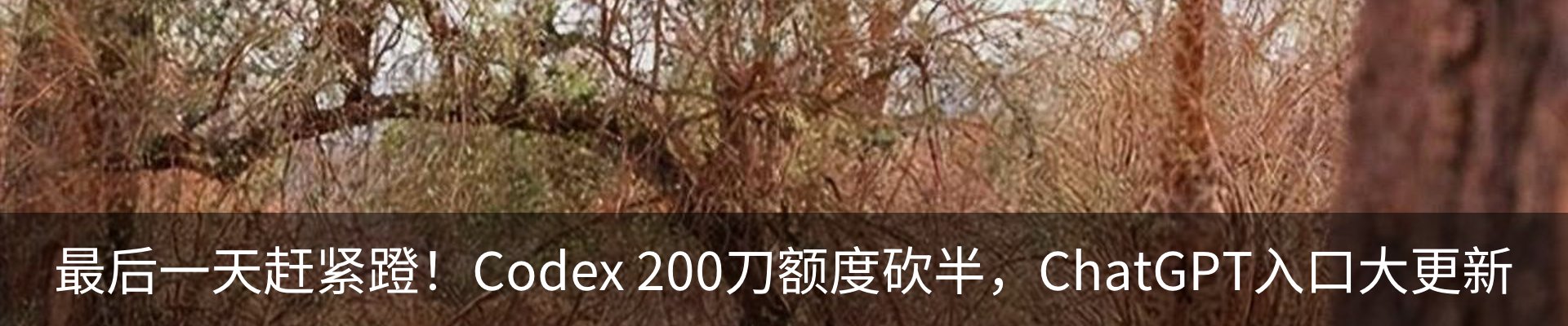 内页banner