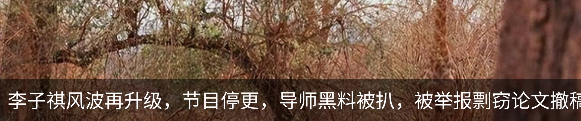 内页banner