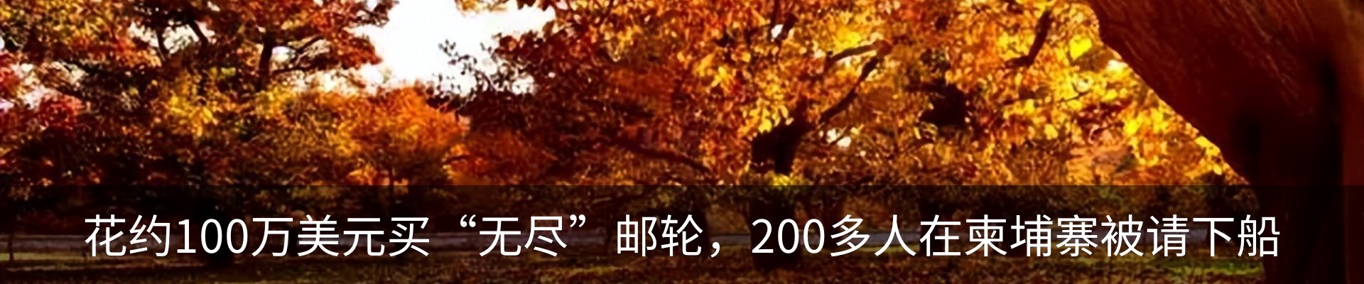 内页banner