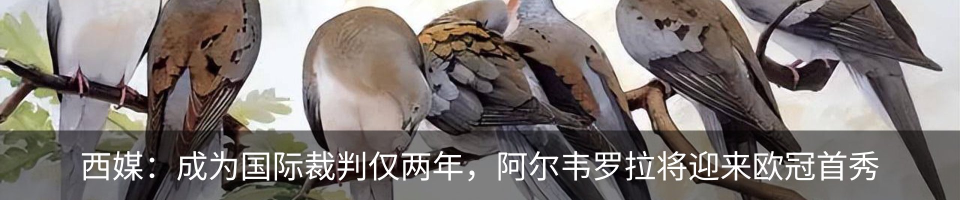 内页banner