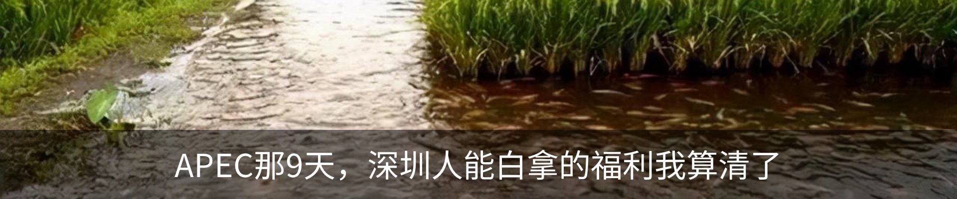 内页banner